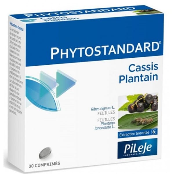 PHYTOSTANDARD CASSIS/PLAN PHYTOSTANDARD CASSIS/PLAN