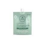 Laino masque soin purifiant 16g