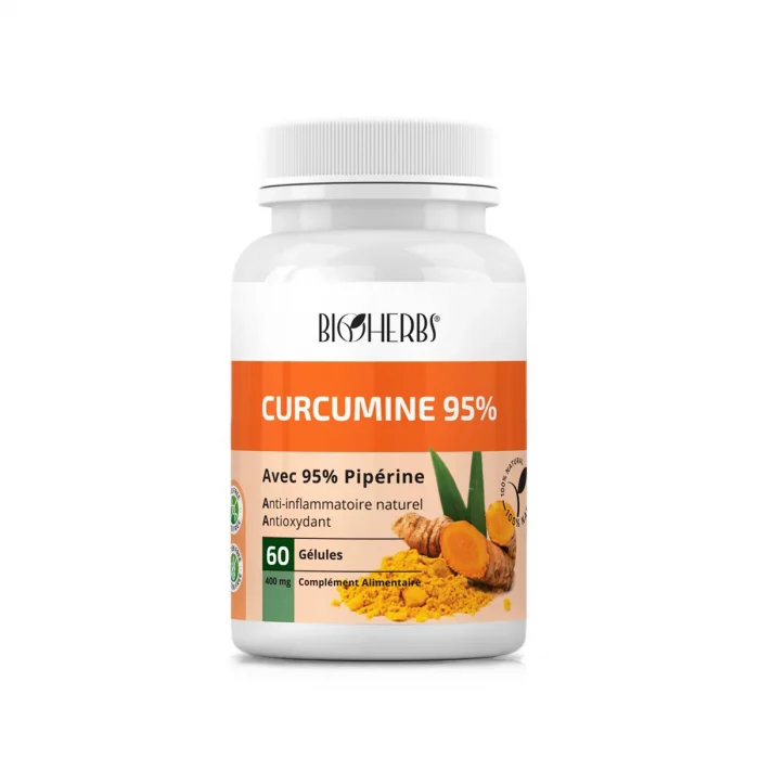 BIOHERBS Curcumine 95% B/60 – Image 1